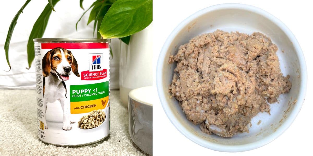 hill's food for puppies