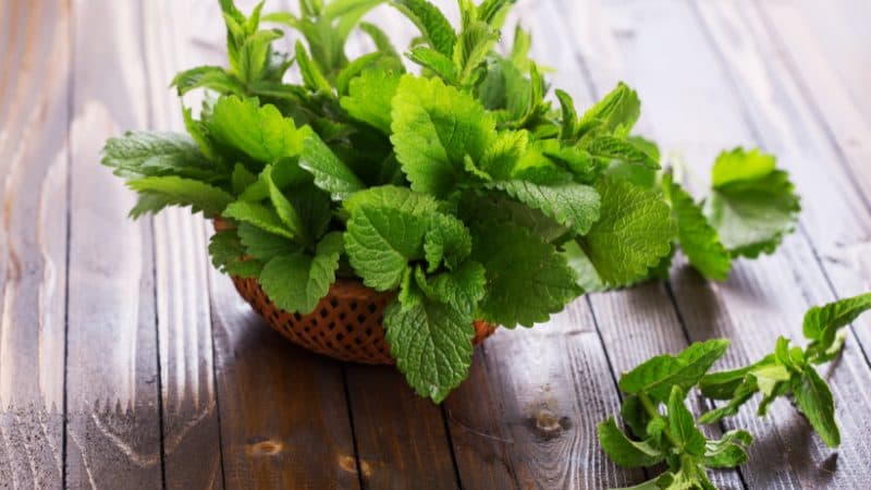 peppermint leaves