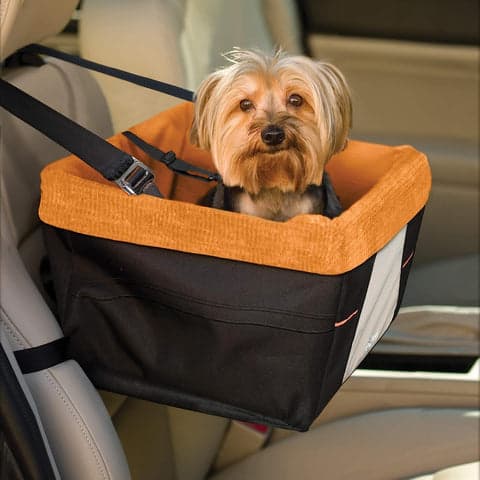 kurgo car booster seat photo