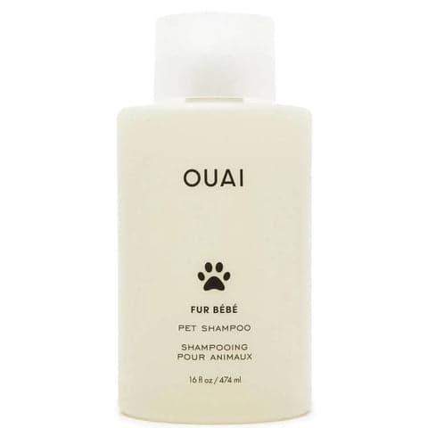 ouai dog shampoo