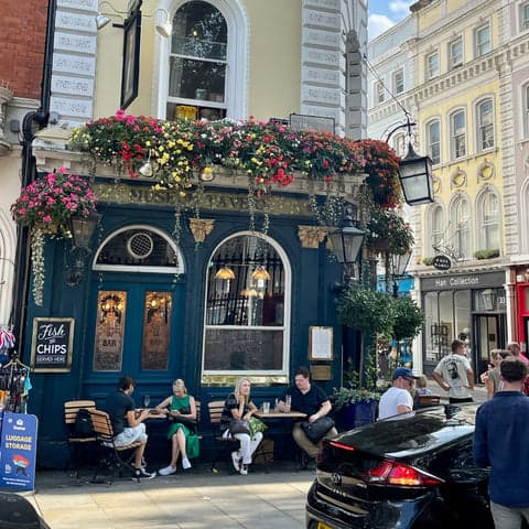 museum tavern dog friendly pub
