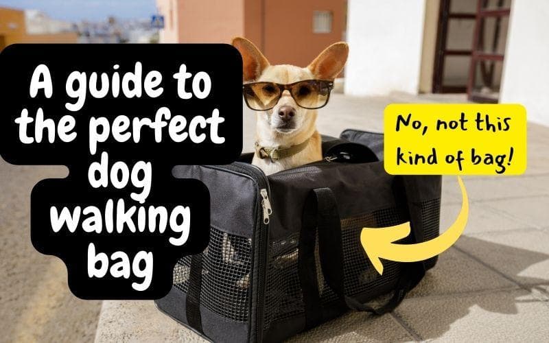 The Dog Walking Bag: What Are My Options?