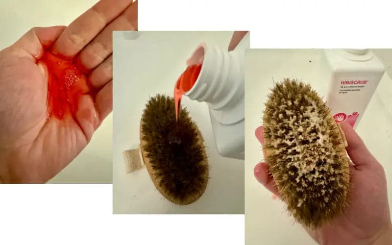 hibiscrub on dog brush