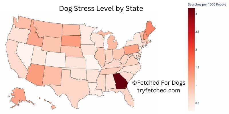 dog stress level by state