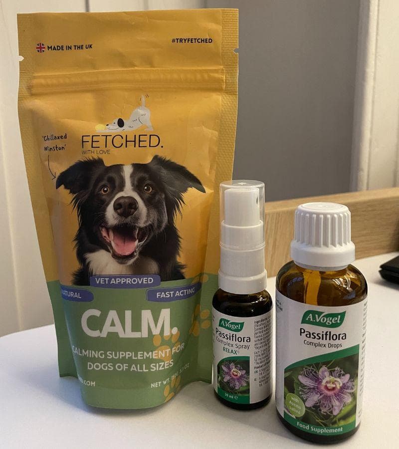 Passion Flower For Dogs: How Does It Work?