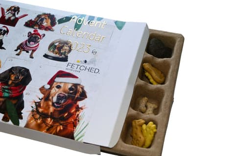 dog advent calendar tray open