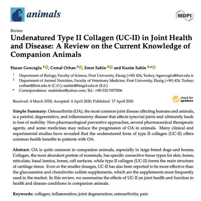 animals study on effects of collagen in dogs screenshot from paper