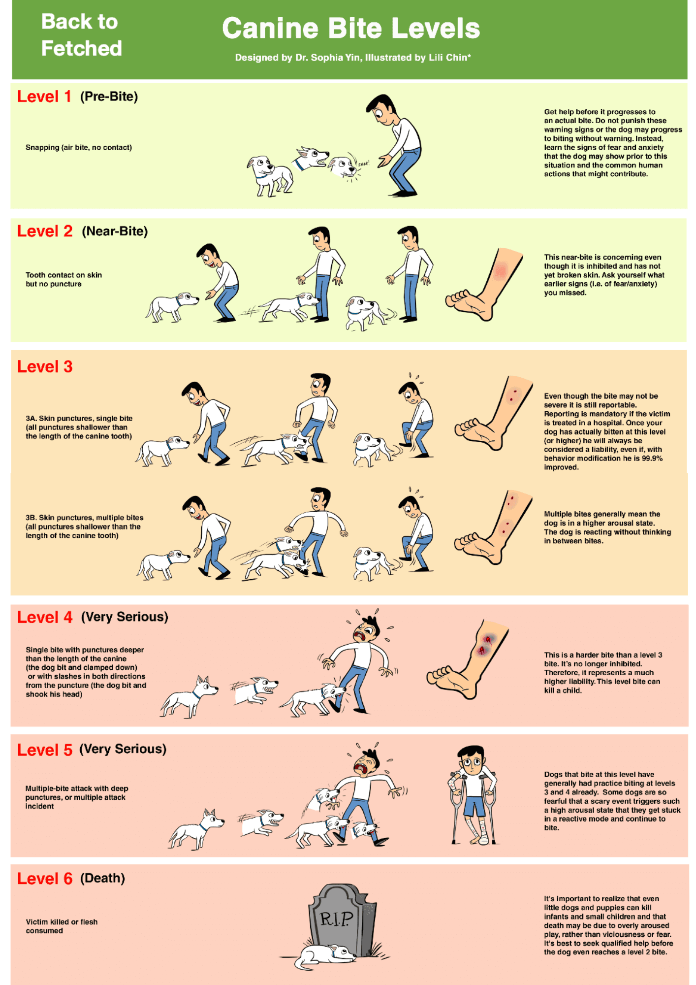 bite levels final