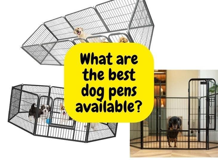 Best Dog Pen Products Reviewed