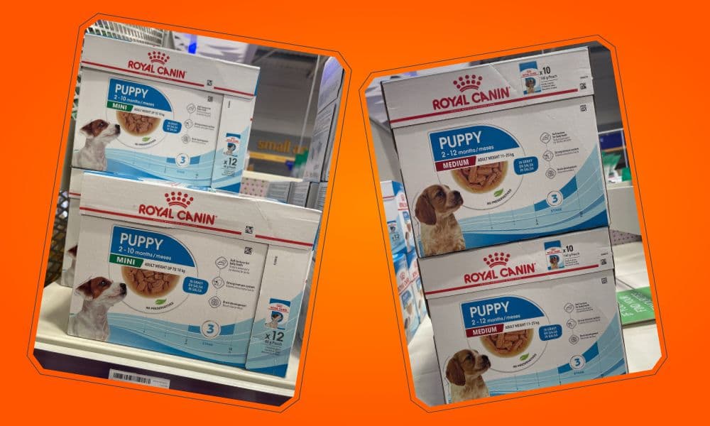 royal canine wet puppy food photos
