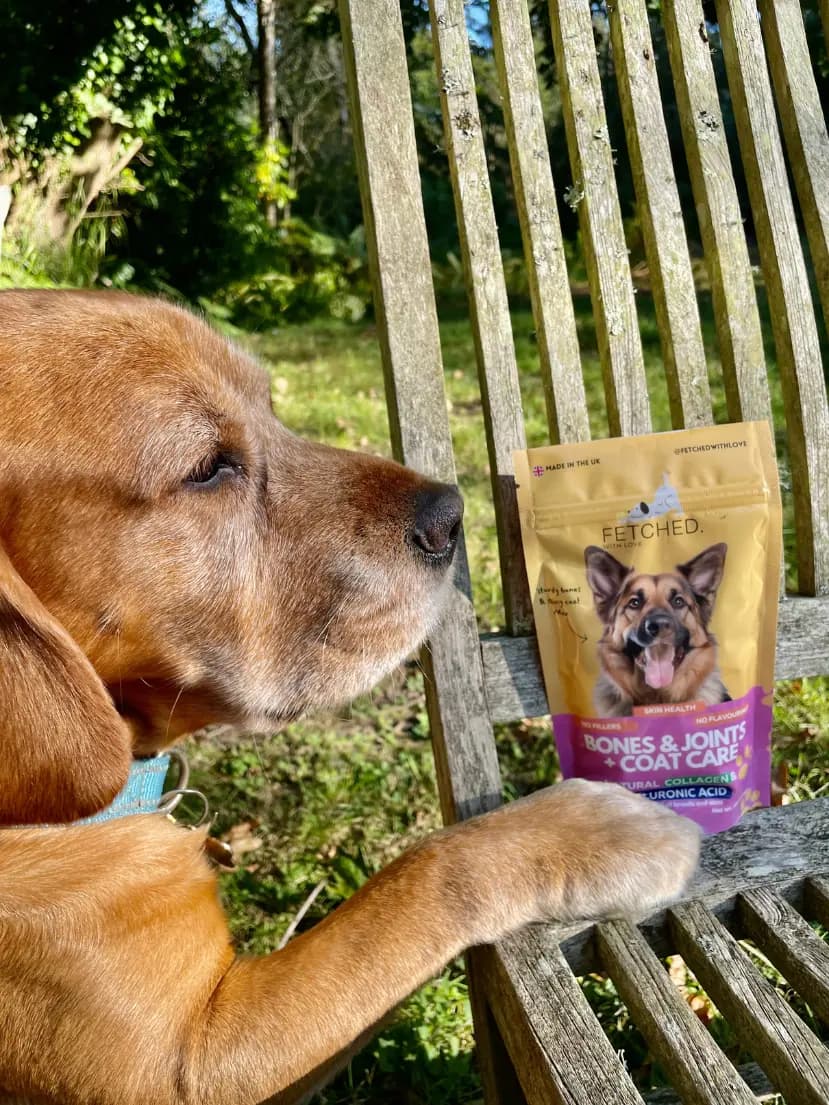 Charlie posing with the Fetched collagen product bag