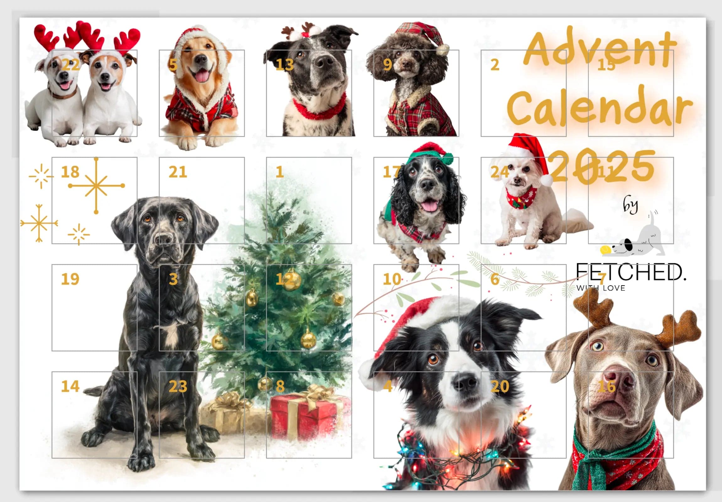 Dog Advent Calendar 2025