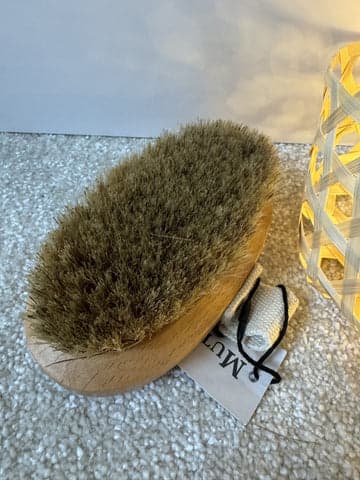 dog brush